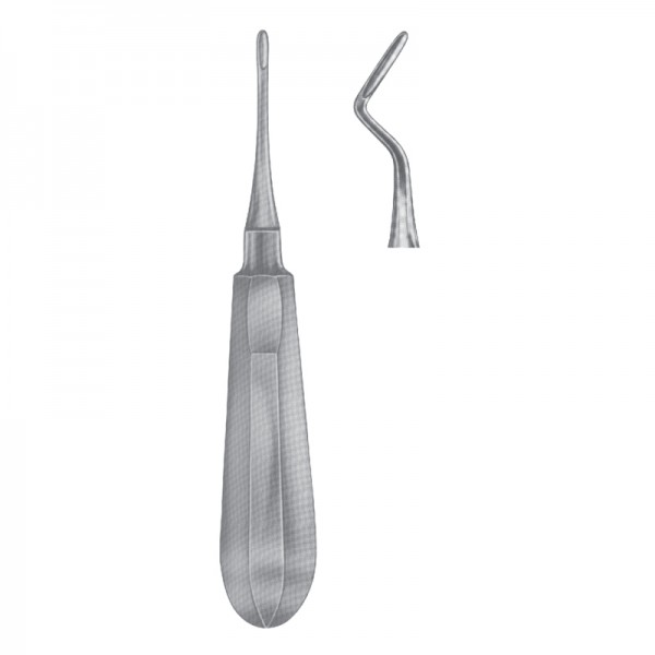 Apical