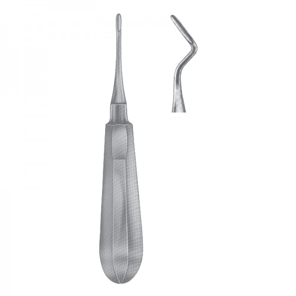 Apical